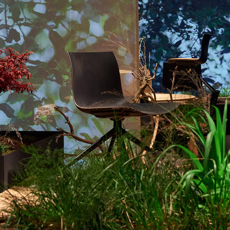 Arper Catifa Carta 3136 | Sternfuß drehbar | Schale Coffee | Gestell schwarz | Beispielbild