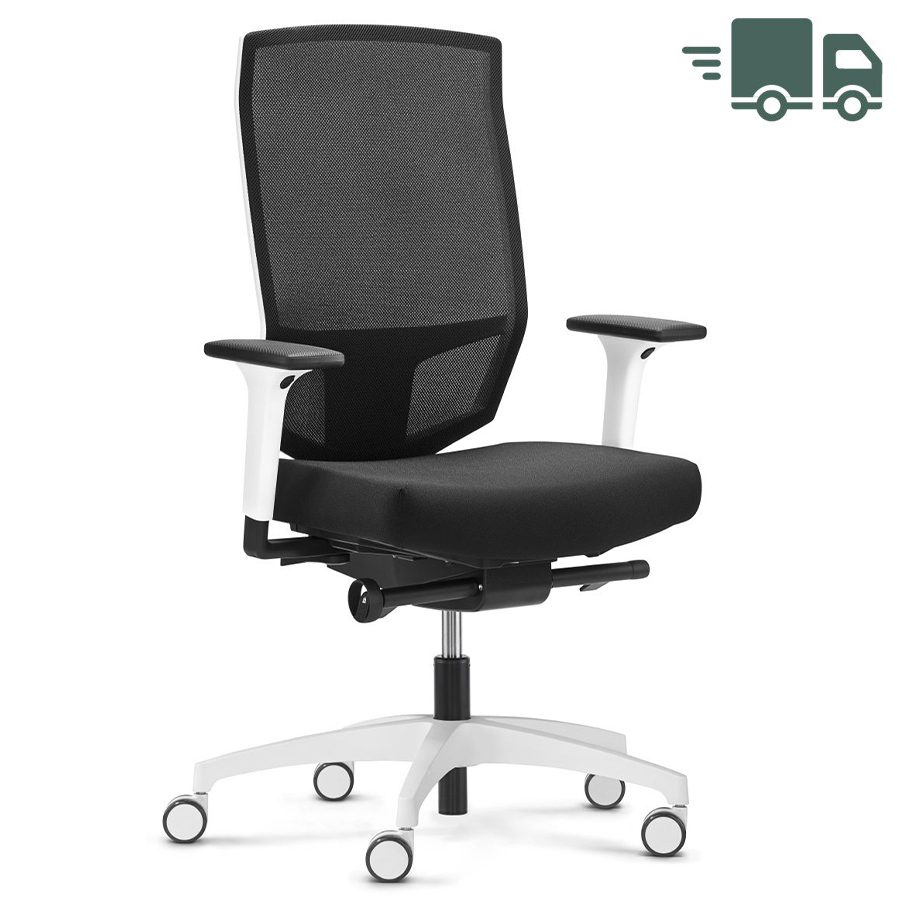 Dauphin @Just evo mesh in Schwarz mit Netz-Rückenlehne weiß