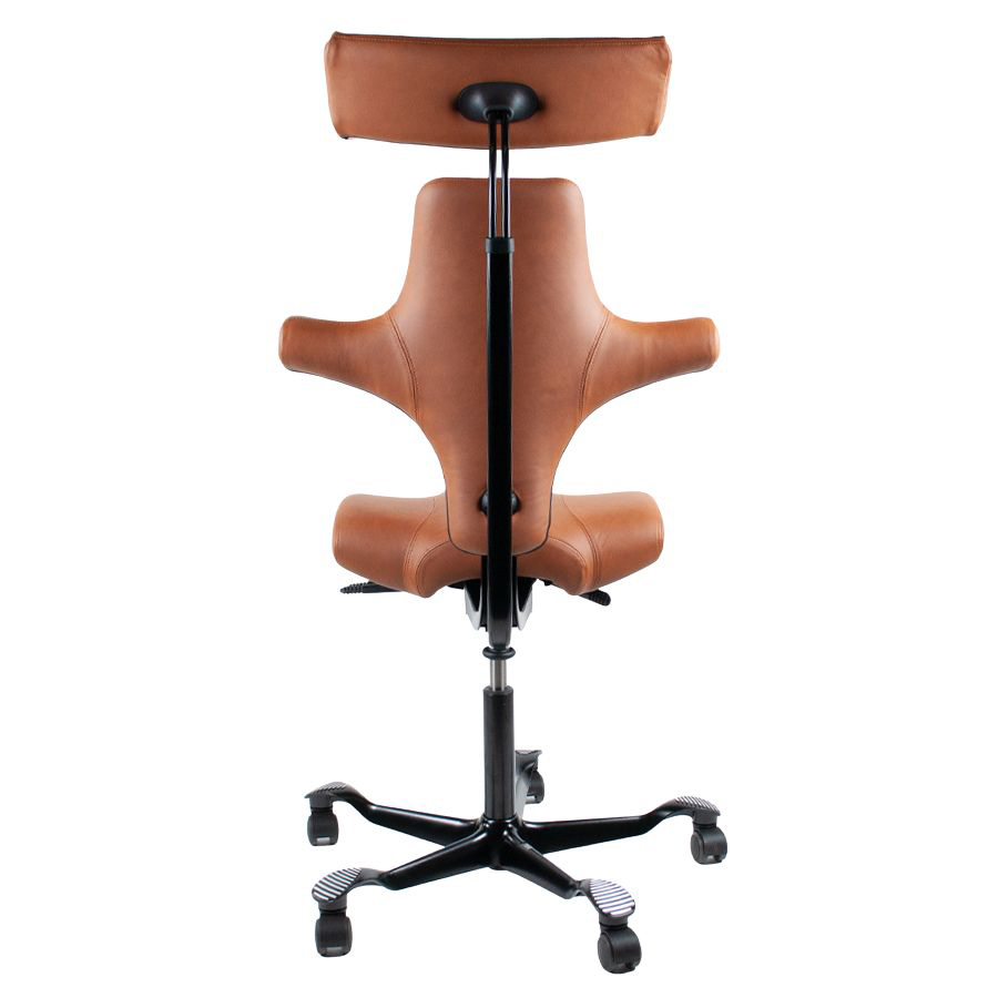 HAG Capisco 8107 - Leder Paloma Soft 5429 natur mit Nackenstütze - Gestell schwarz - Rückseite