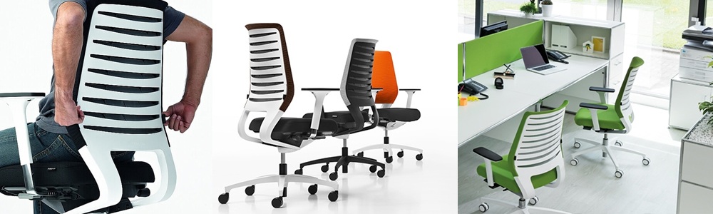 Banner-X-code-dauphin