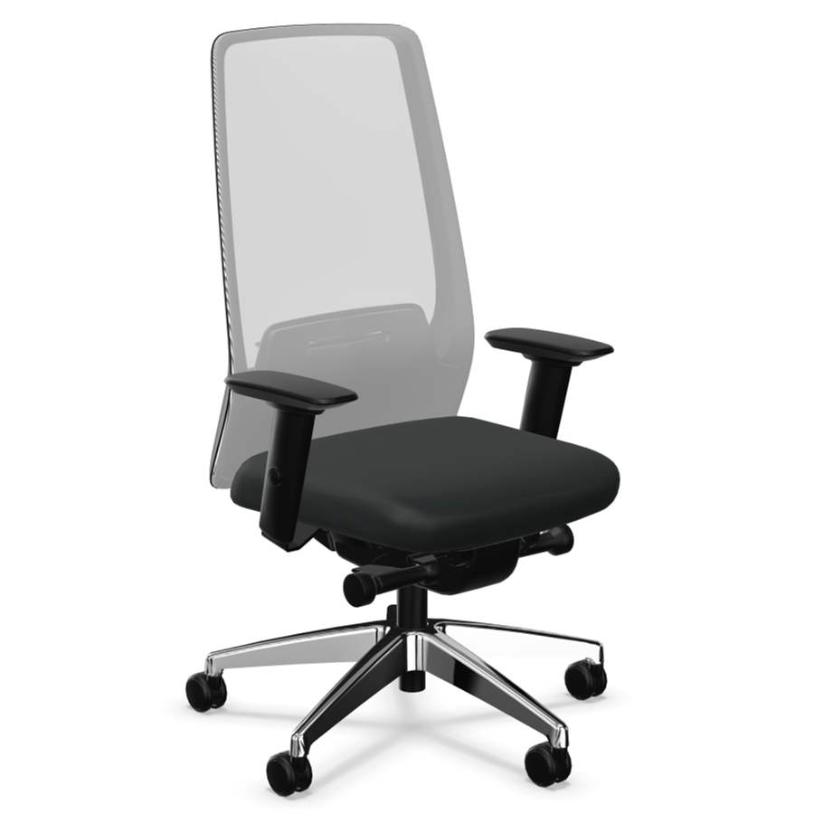 Interstuhl AIMis1 AM21C Rückenlehne anthrazit Polster schwarz