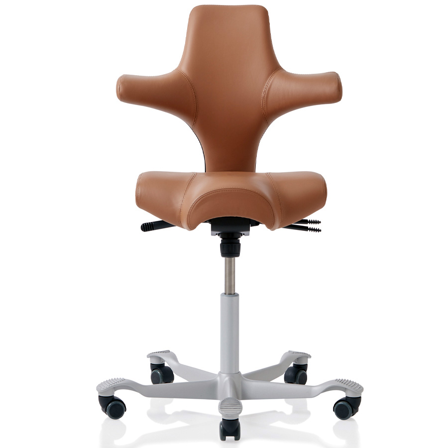 HAG Capisco 8106 - Leder Paloma Soft 5429 natur