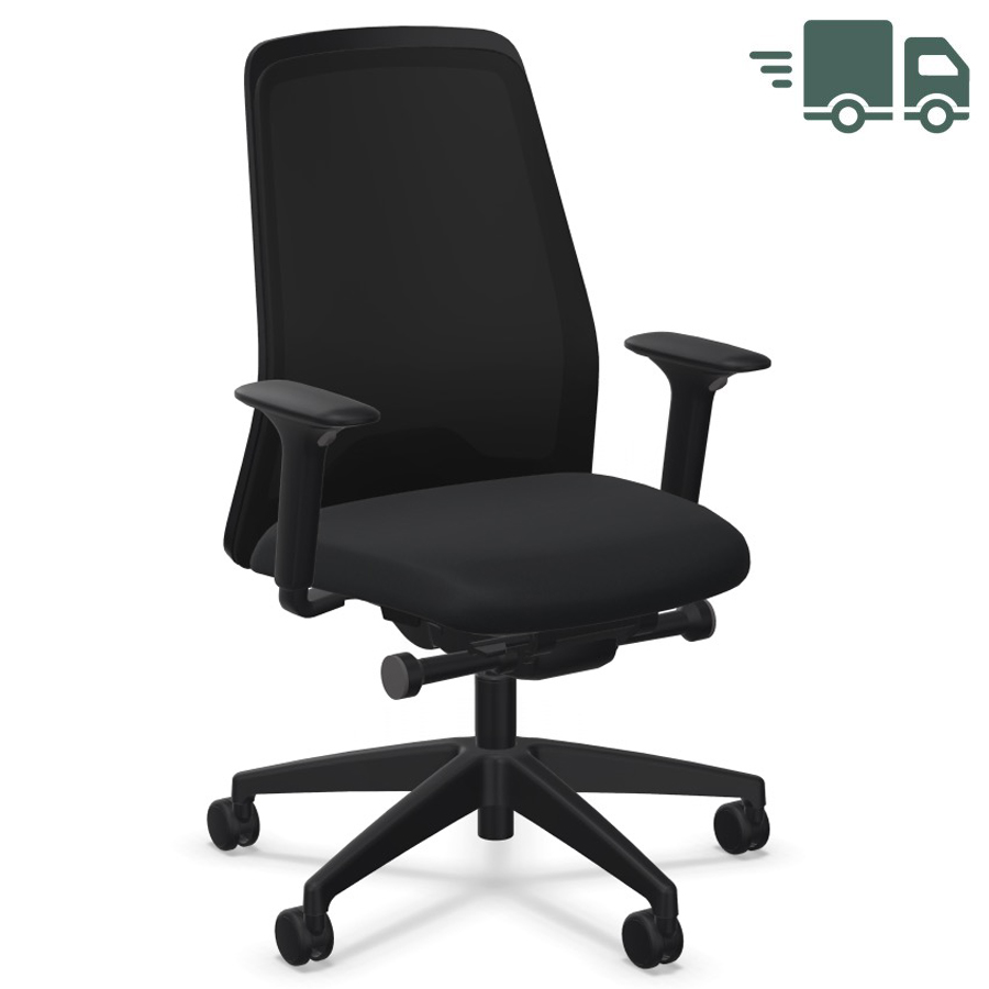 Interstuhl EVERY EV211 komplett schwarz