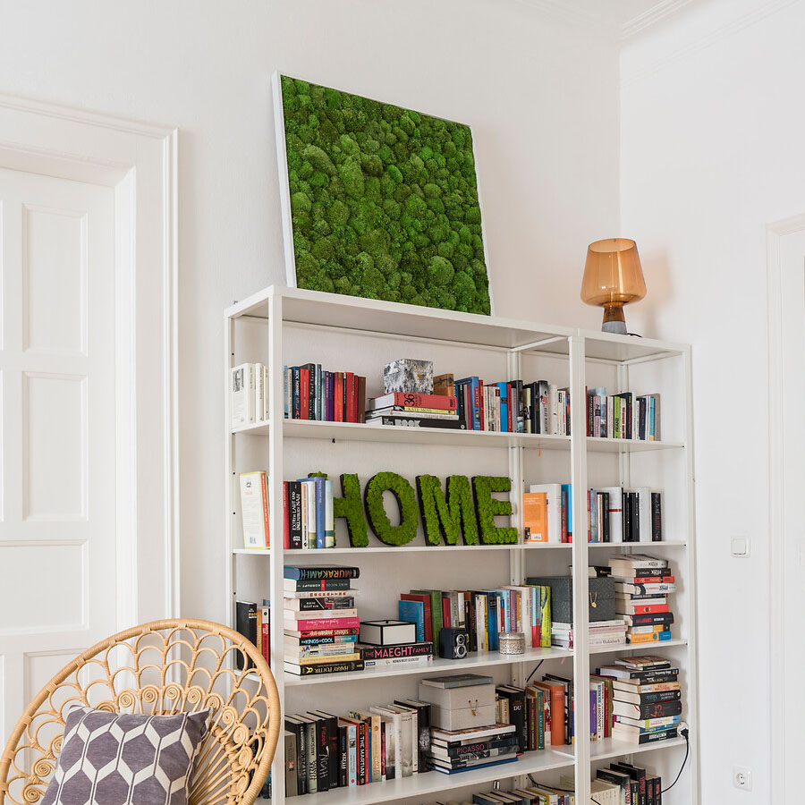 Moosbild im Kugelmoosdesign | Beispielbild