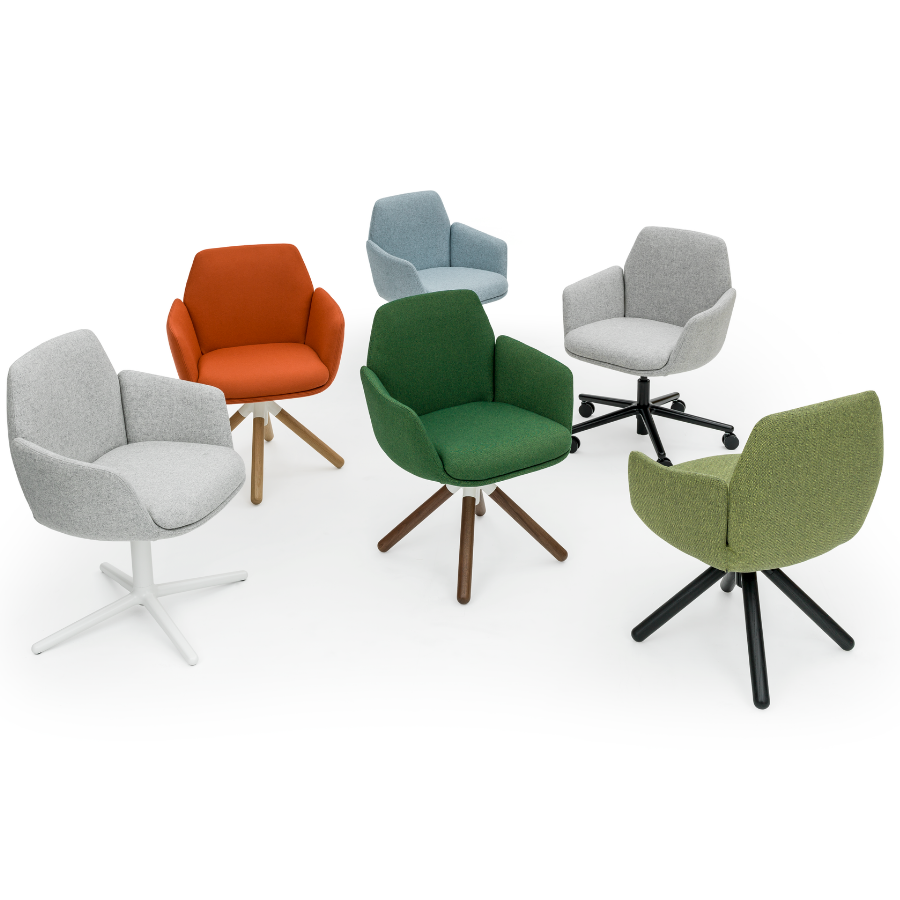 HAWORTH Poppy Beispielbild