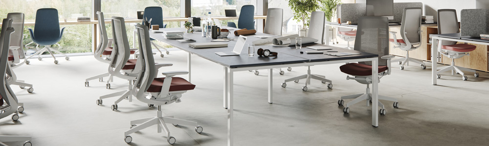 Banner-2kT3FS7conTe3f