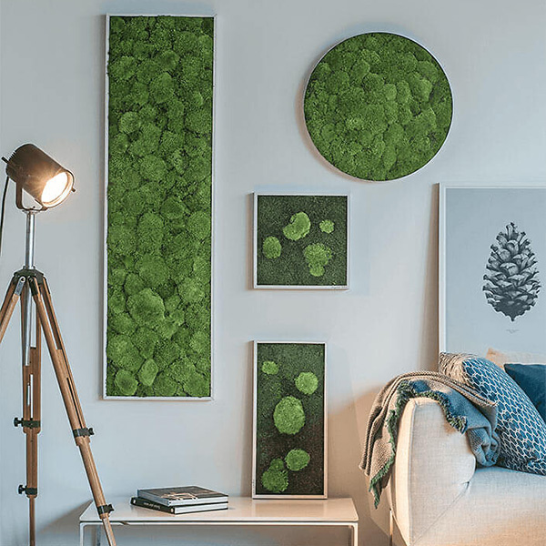 Moosbild im Wald- und Kugelmoosdesign | Beispielbild