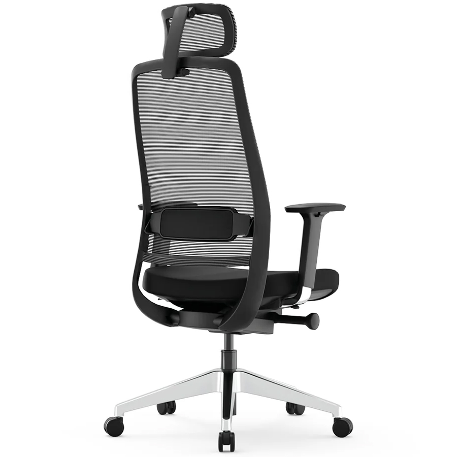 Yaasa Chair Expert in Schwarz