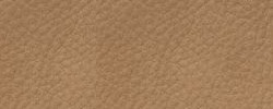 Leder hellbraun