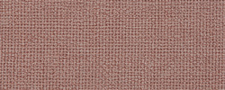 Rose SN061