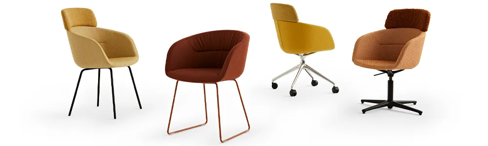 noti-paxt-vierfuss-beispielbild-6