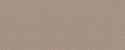 Kunstleder Valencia beige VL444
