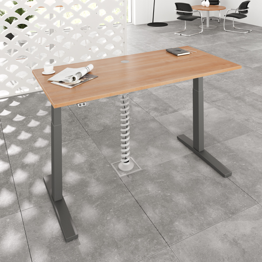 RWH Action Schreibtisch elektrisch verstellbar - Nussbaum - Breite 160 cm