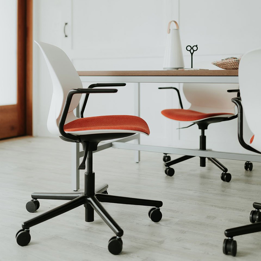 Haworth Maari - Beispielbild