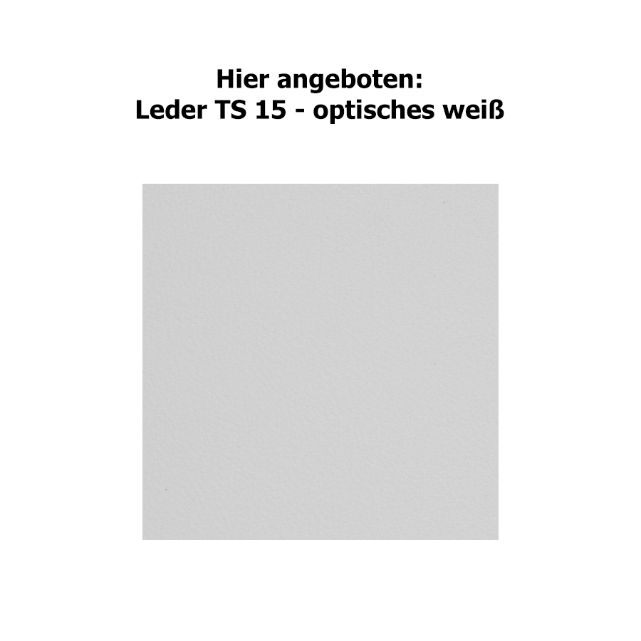 Hier angeboten - Leder TS 15 - optisches weiß