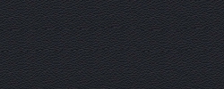 Schwarz – Echtleder Ascot (4880)
