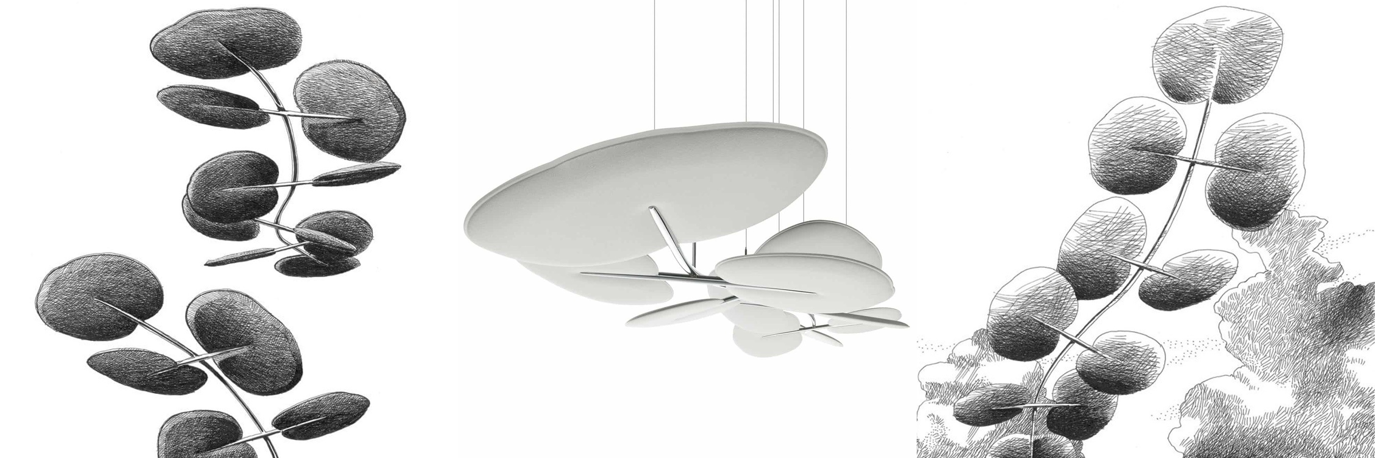 Caimi-Botanica-Banner