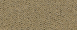 Baru 0330 Beige