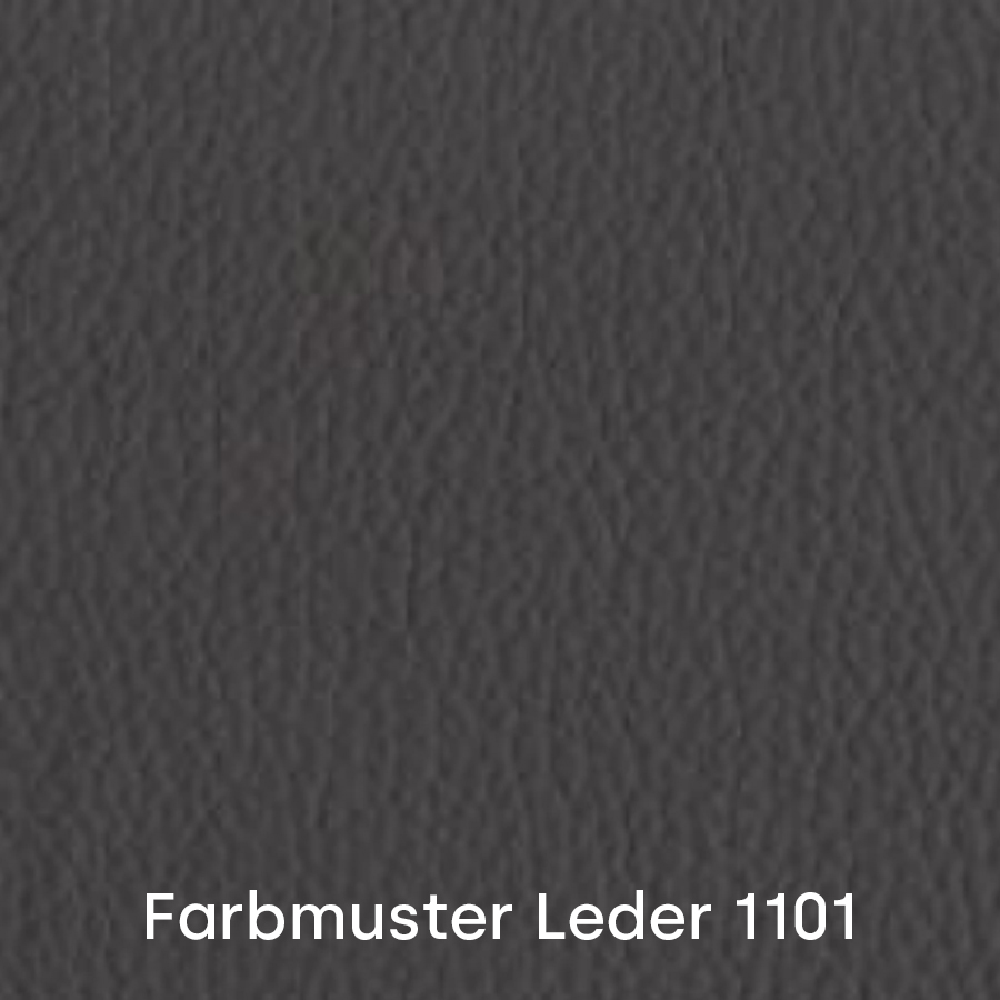 Farbmuster Leder Antic Cuir 1101