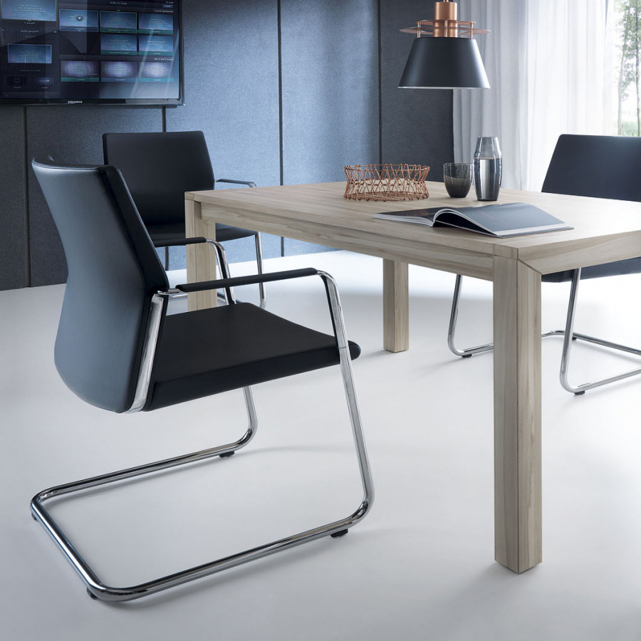 Profim MyTurn 21VN Freischwinger Bezug Leder Premium schwarz, ohne Steppung, mit Armauflage in Leder schwarz