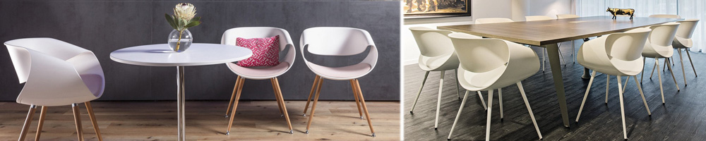 zuco-little-perillo-banner