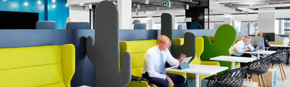 BuzziSpace-Cactus-Banner-1