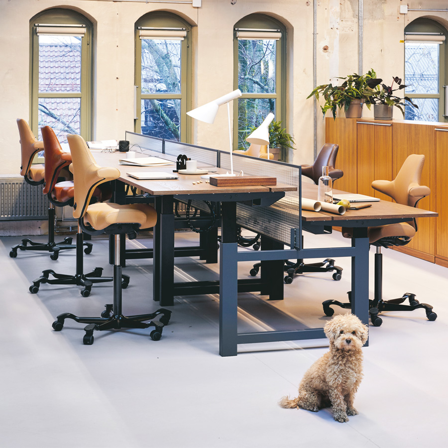 HAG CAPISCO 8106 Lederbezug Sonderleder Coffee