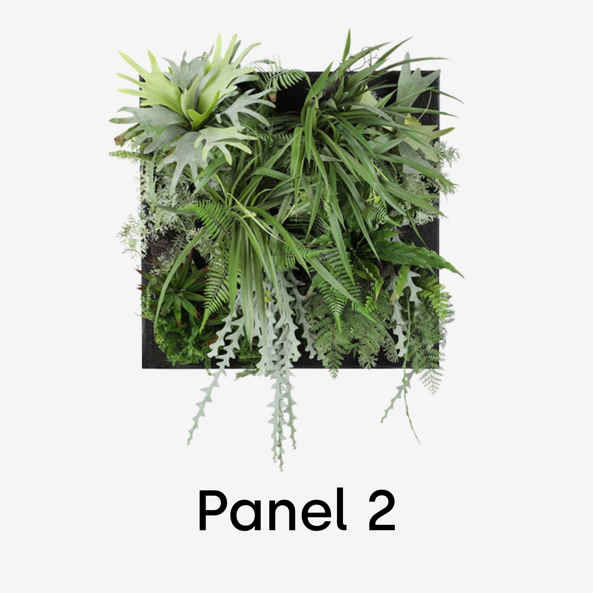 Götessons Flora Panel | Pflanzenwand | verschiedene Ausführungen
