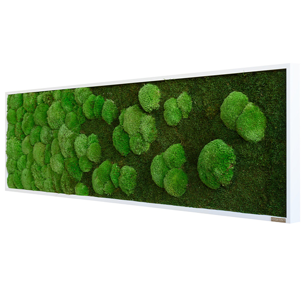 Moosbild im Wald- und Kugelmoosdesign mit Verlauf | 140x40cm | Vollholz Rahmen weiß