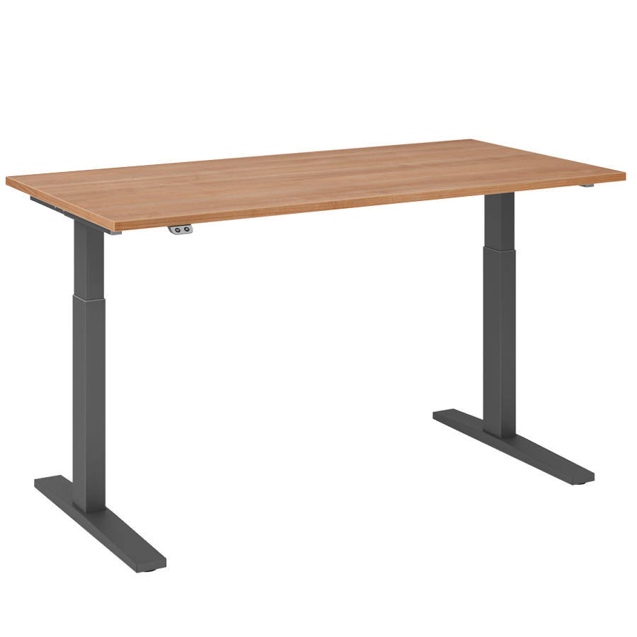 RWH Action Schreibtisch elektrisch verstellbar - Nussbaum - Breite 160 cm