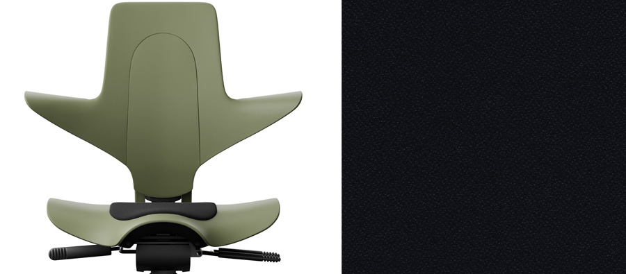 Moss + Xtreme schwarz 009 (PG1)