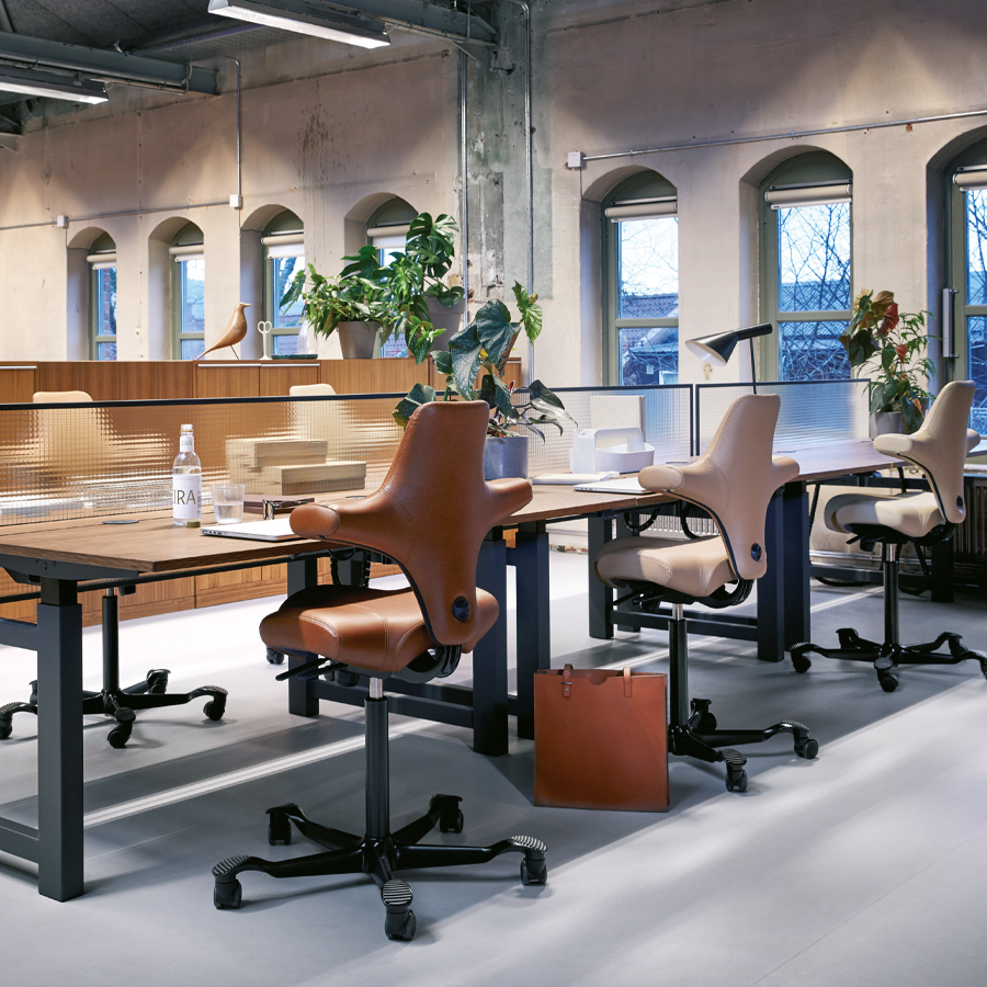 HAG Capisco Leder - Beispielbild zeigt verschiedene Ledertöne