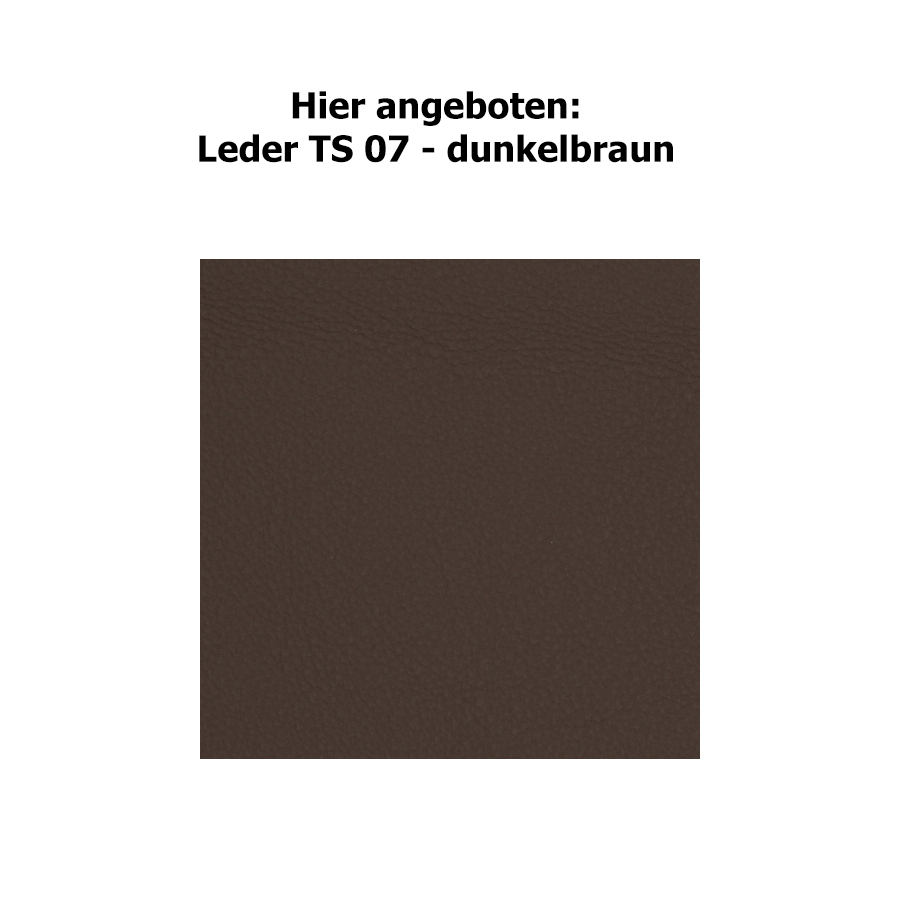 Farbkarte TS 07 - dunkelbraun