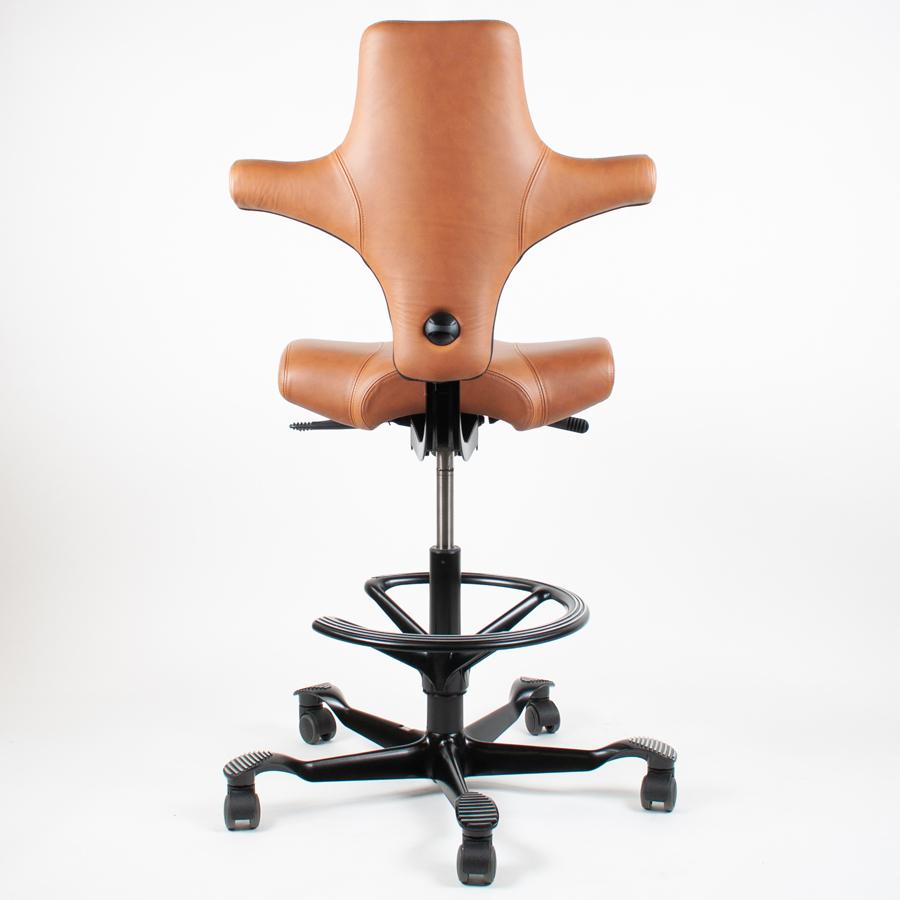 HAG CAPISCO 8106 Lederbezug Sonderleder Natur - Rückansicht