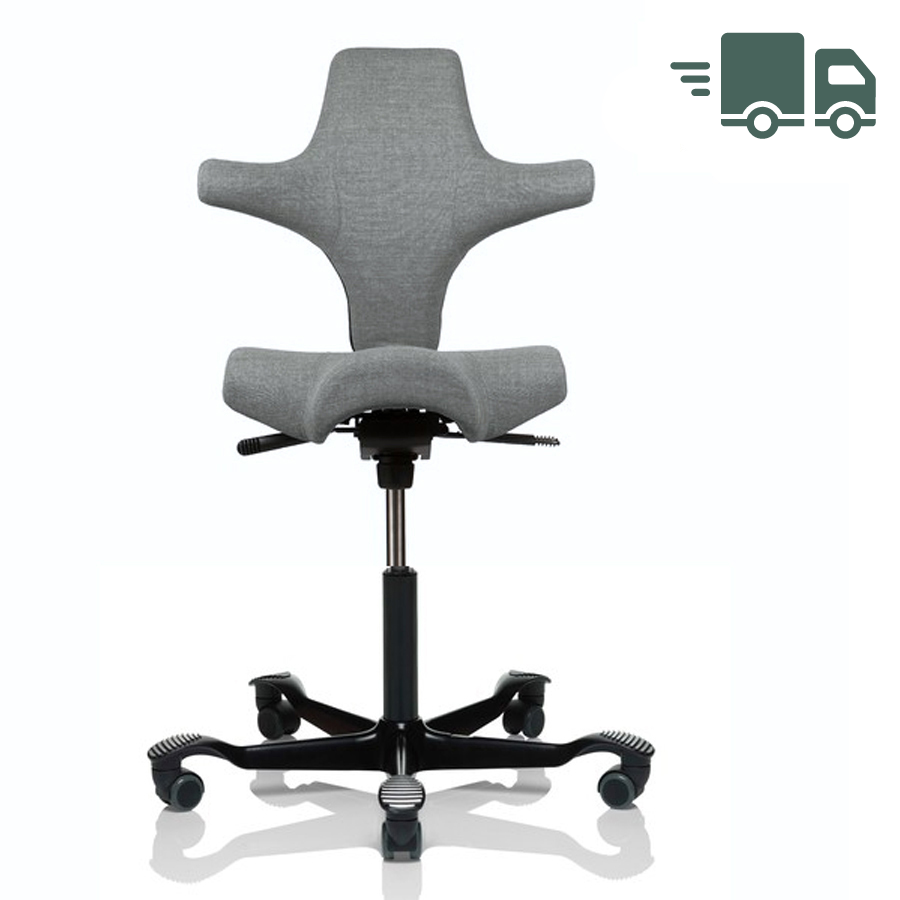 HAG Capisco Remix hellgrau