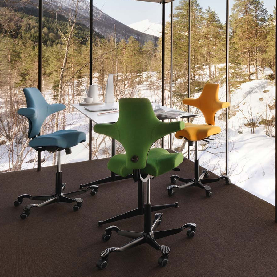 HAG Capisco 8106 - Detail