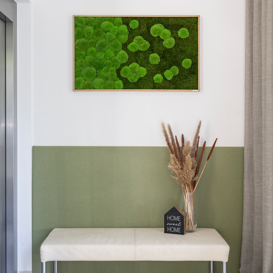 Moosbild im Wald- und Kugelmoosdesign mit Verlauf | 100x60cm | Beispielbild