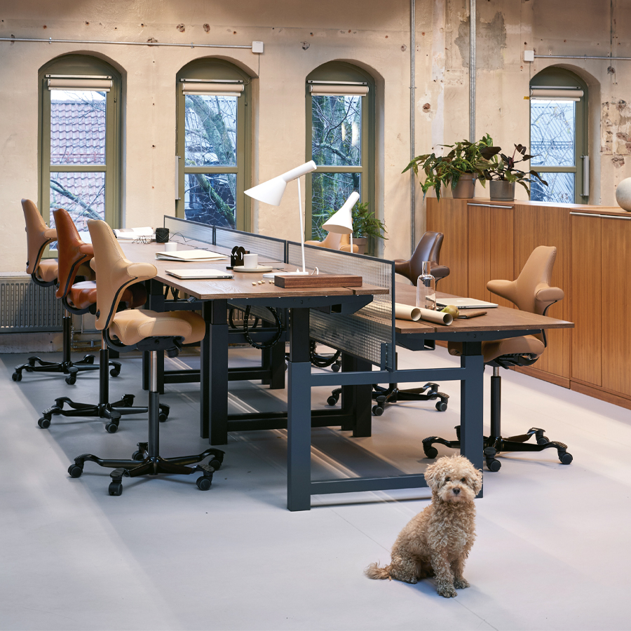 HAG Capisco Leder - Beispielbild zeigt verschiedene Ledertöne