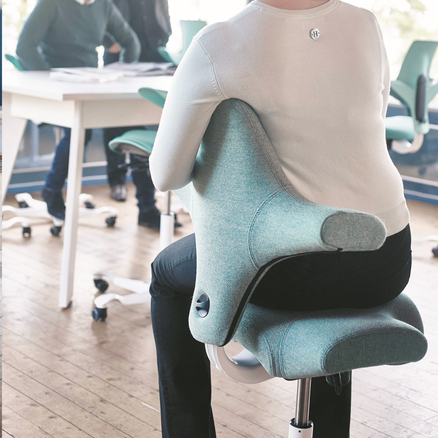 HAG Capisco Beispielbild