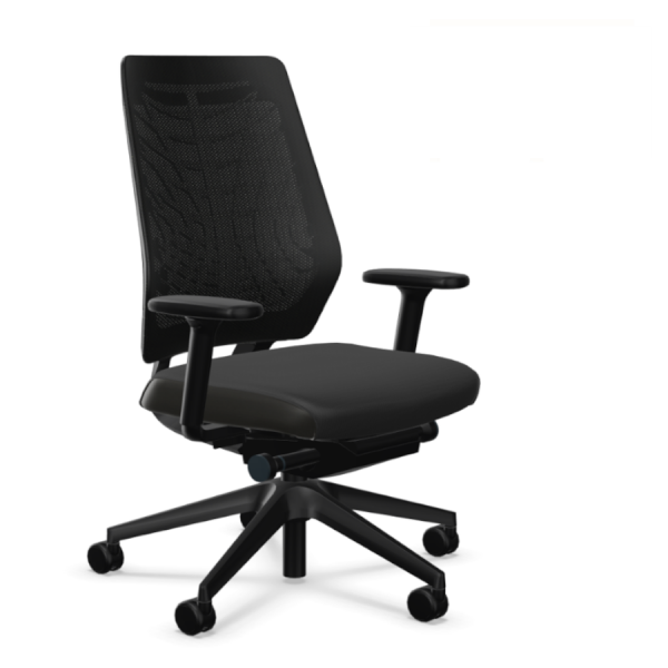 Interstuhl JOYCEis3 JC21E schwarz