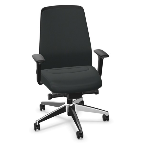 Every EV31C schwarz