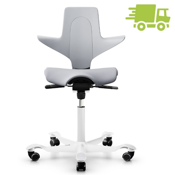 HAG Capisco Puls 8020 Schale grau