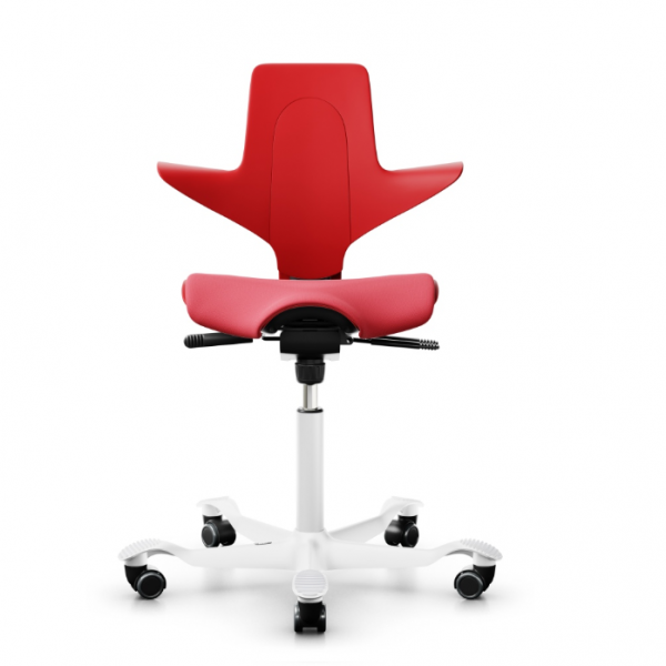 HAG Capisco Puls 8020