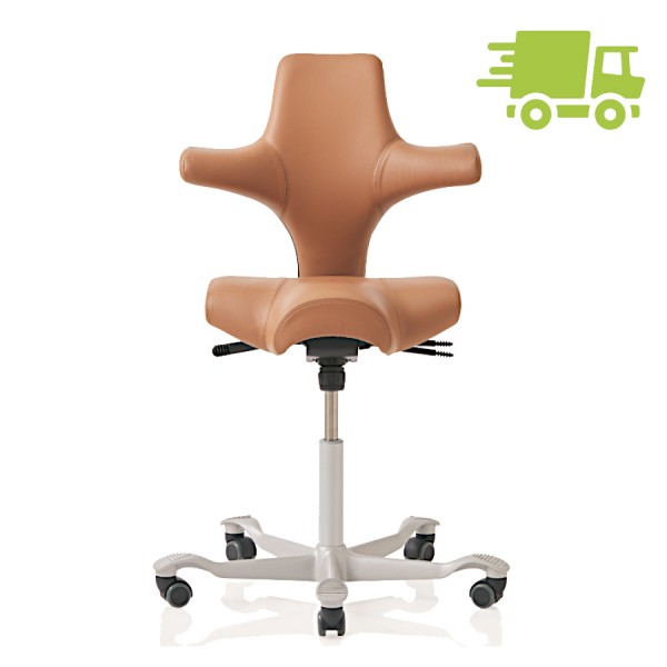 HAG Capisco Leder Cognac