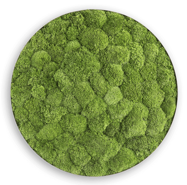 styleGREEN MOOSBILD: KUGELMOOS-ELLIPSOID 54CM