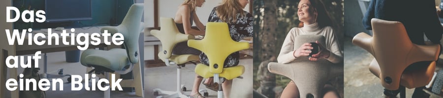 Banner-Alle-8106-Capisco-Modelle-3