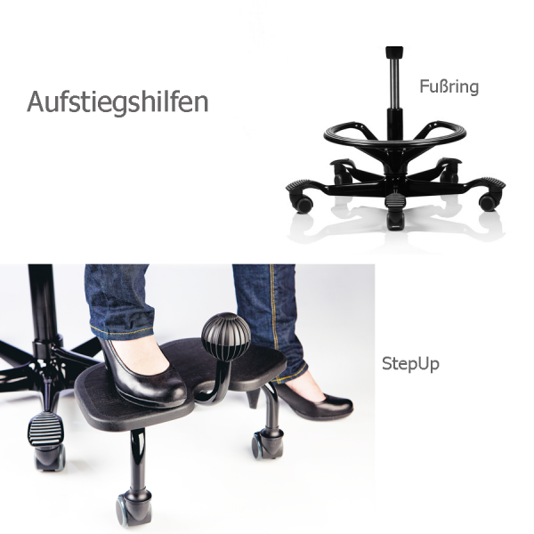 Aufstiegshilfe Capisco 8106
