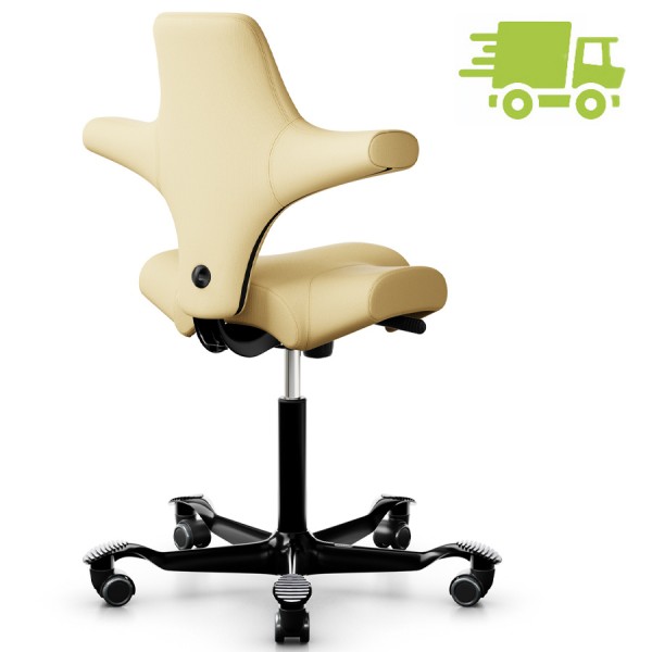 HAG CAPISCO 8106 - Stoff Patina 016 - Gestell schwarz - Rückansicht