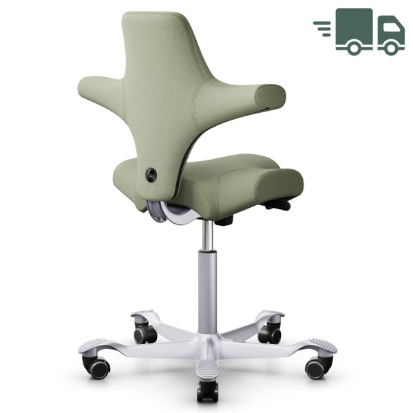 HAG CAPISCO 8106 | Wollstoff Capture graugrün 5101 | Gestell silber günstig online kaufen