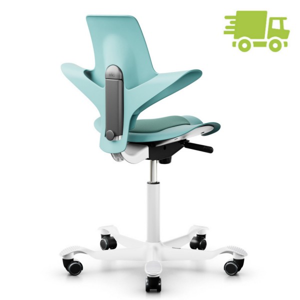 HAG Capisco Puls 8010 Seagreen Nexus 10 Gestell weiss